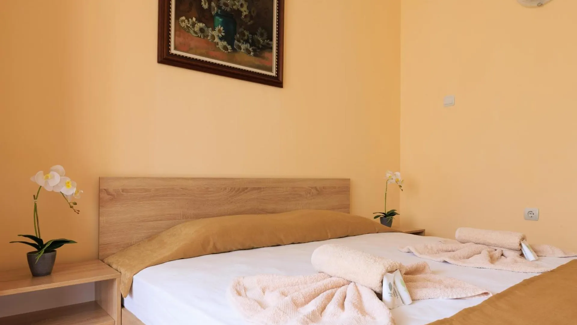 Hotel Angy Golden Sands Bulgaria
